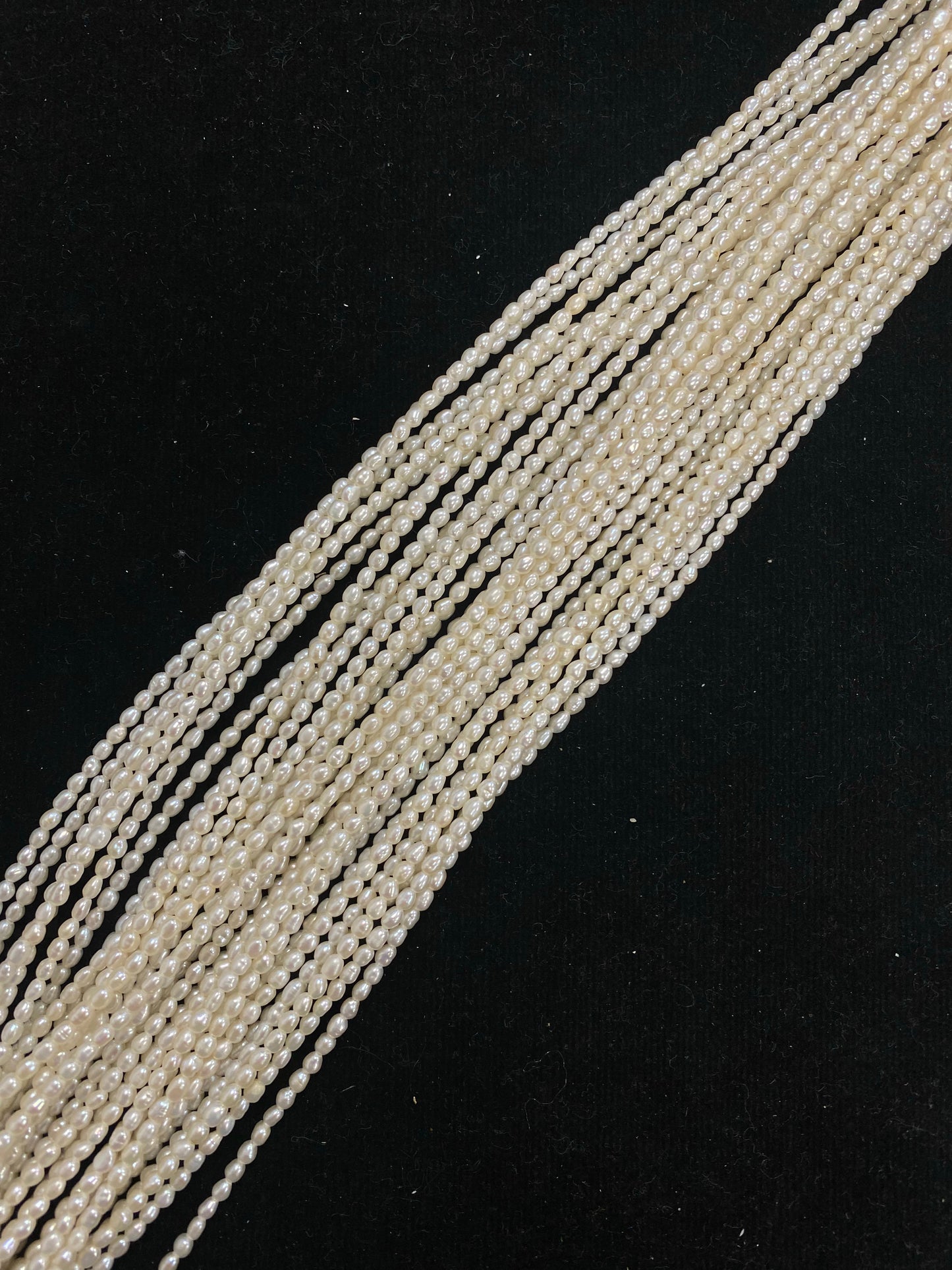 Freshwater Rice Pearl