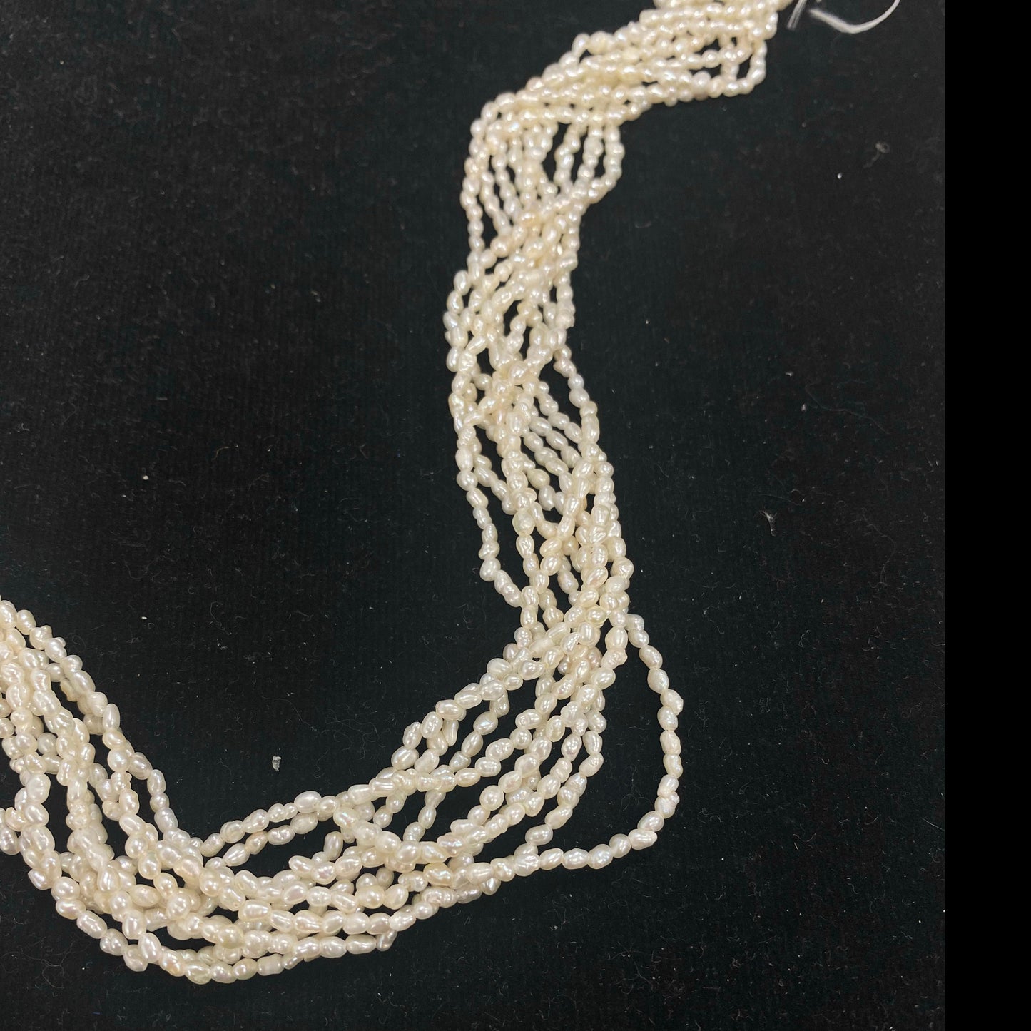 Freshwater Rice Pearl