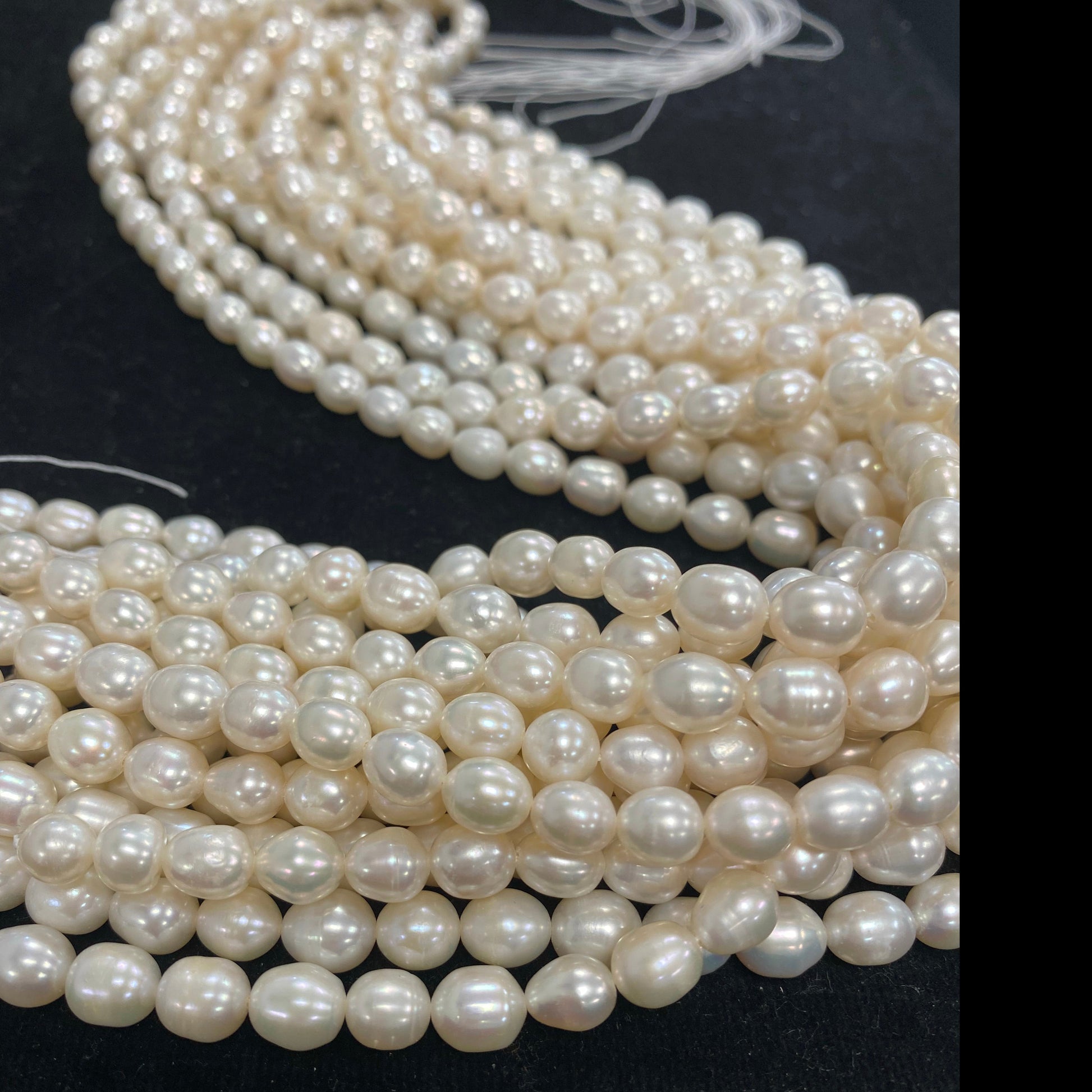 Freshwater Rice Pearl